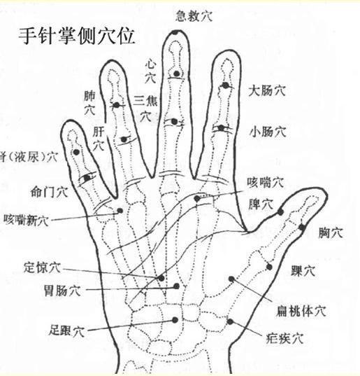 十指健身歌及手掌穴位辨识