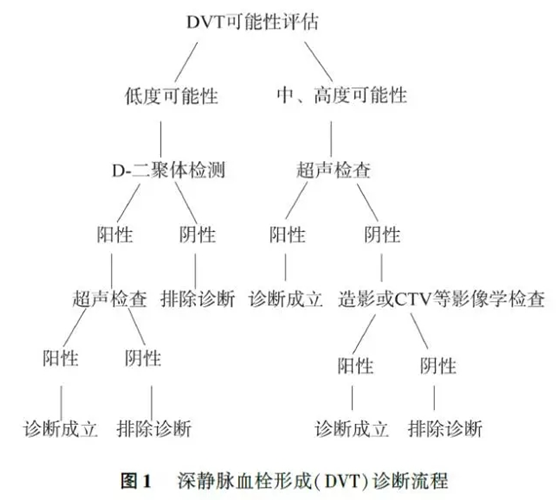 深静脉血栓形成的诊断和治疗指南(第三版 二)临床可能性评估和