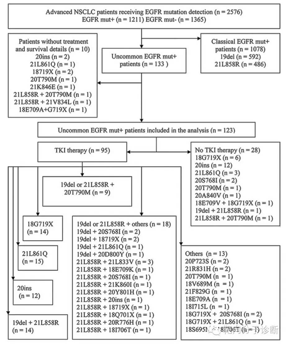 一项真实世界回顾性研究:EGFR-TKI用于罕见突