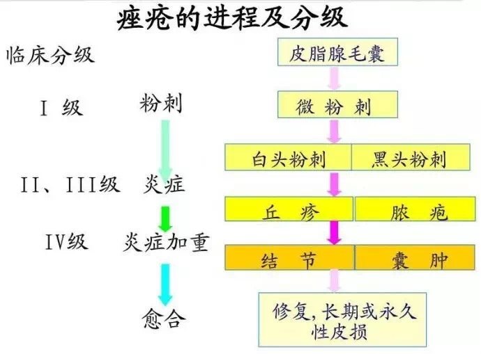 关于痘痘的那些事