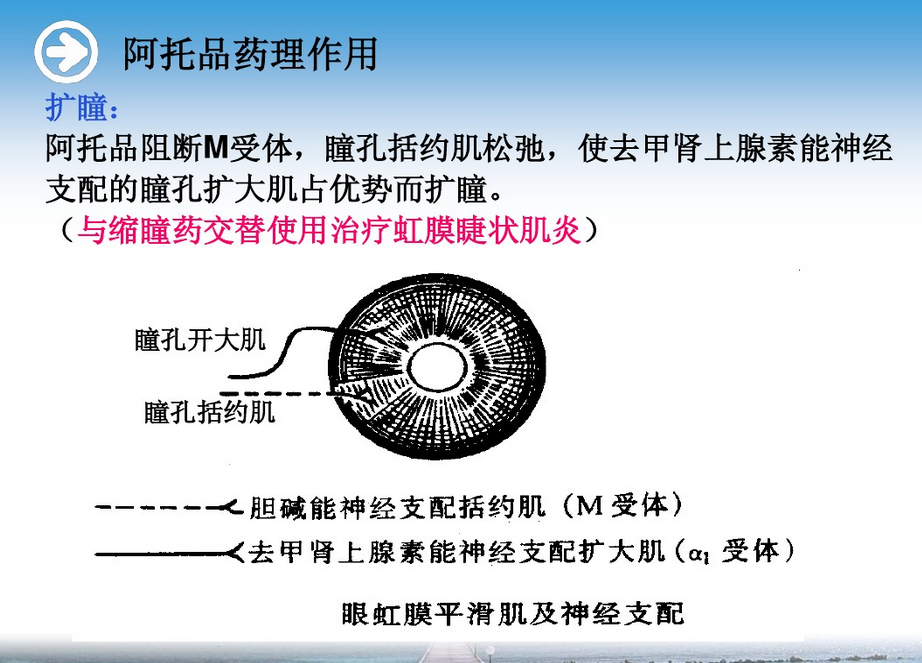 能够经常坚持戴镜,换眼镜前由医生决定用复方托吡卡胺或者阿托品散瞳