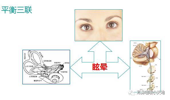 【眩晕之bppv】您的身体"地震"了么—浅谈耳石症