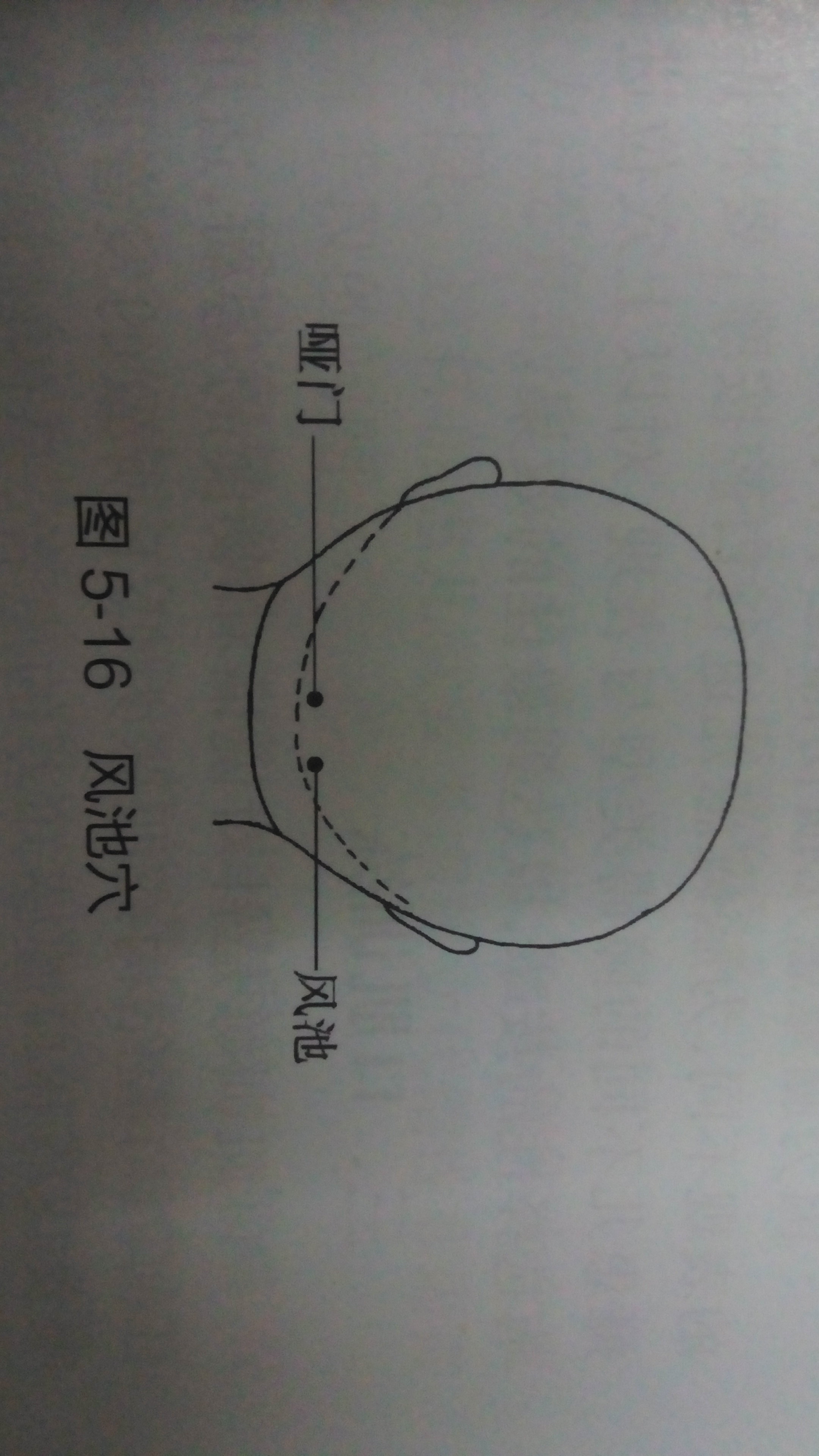 迎香穴:  鼻翼外缘中点旁,鼻唇沟中