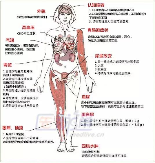 6大伤肾行为