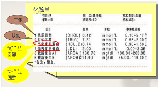 这张化验单是化验血脂的常见化验单