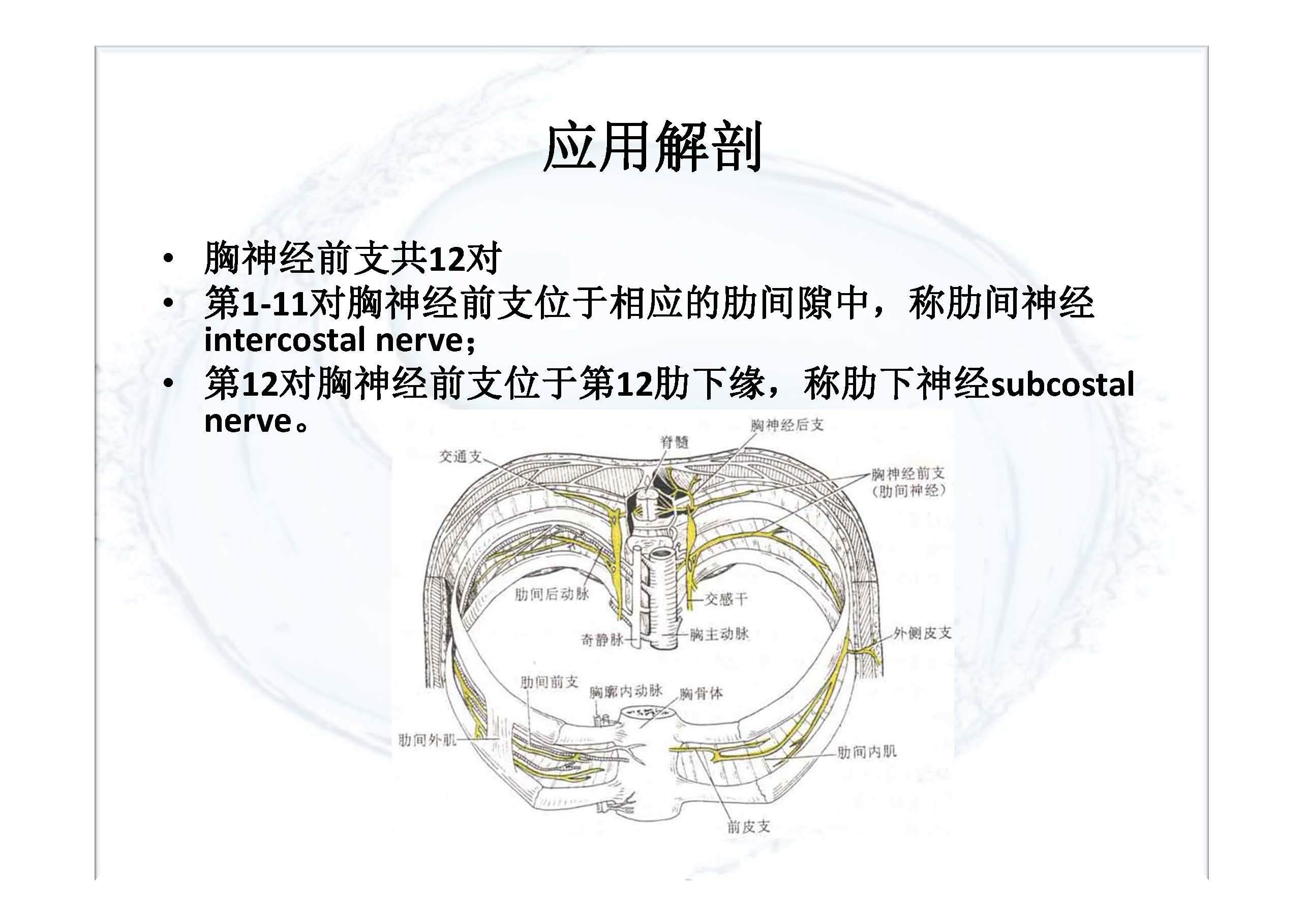 实用胸椎椎旁神经阻滞