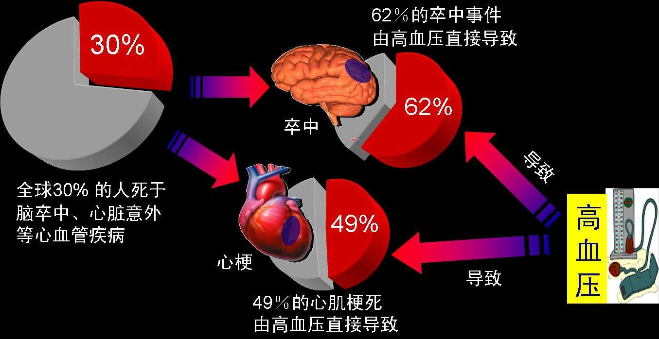 5亿高血压患者,虽然有很多人患上了高血压,而有的人认为这是一种很