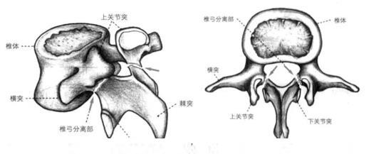 1和2.jpg