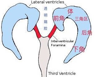 透明隔-1_看图王.jpeg