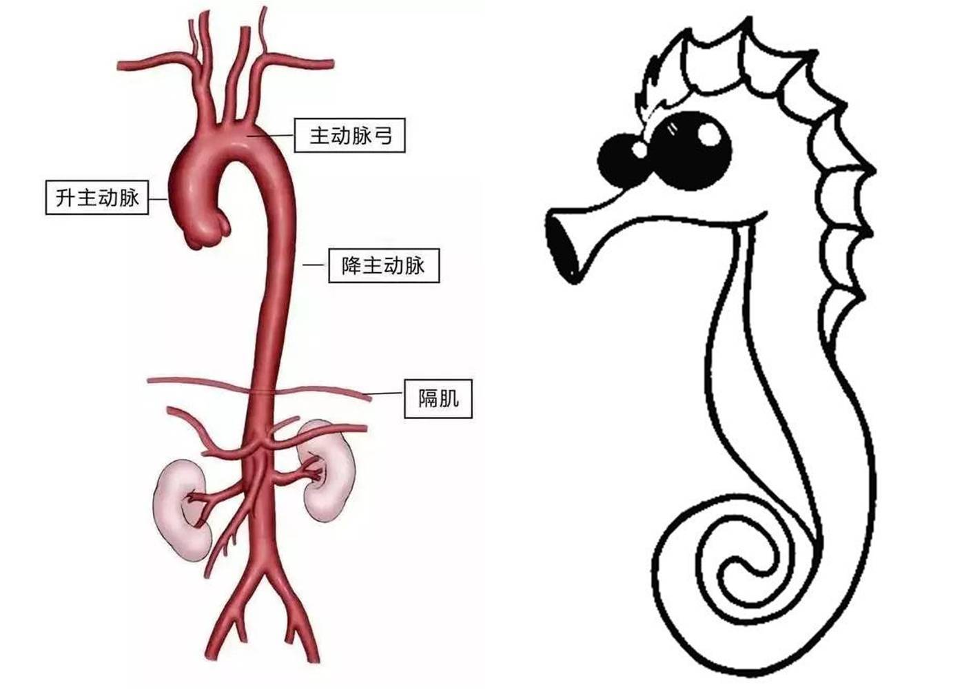 1526311925167593.jpg 1.jpg