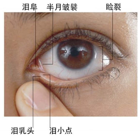 很多门诊做完眼角手术或是 双眼皮手术 的患者会有经常流泪的现象,那