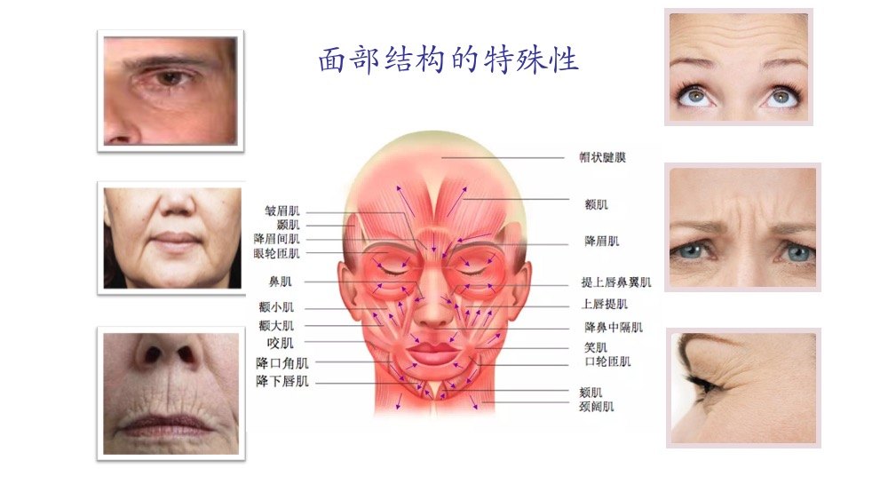 二是,面部自然老化带来的各种皮肤问题 三是,面部本身的解剖生理特性