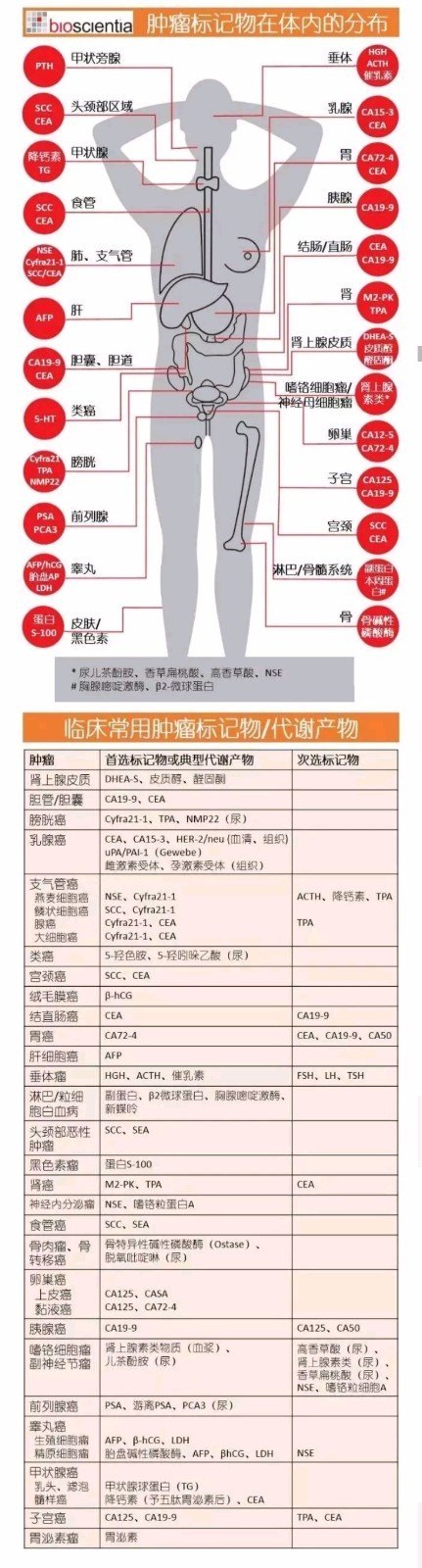 肿瘤标记物的体内分布