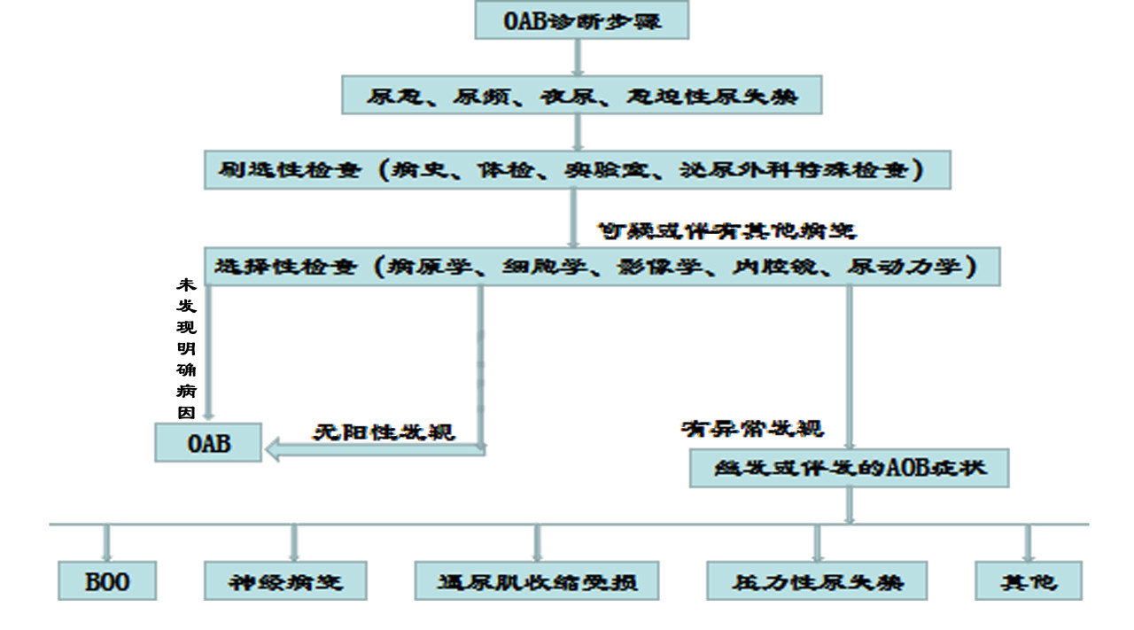 一般体格检查; 特殊特格检查:泌尿及男科生殖系统,神经系统,女性芍吵