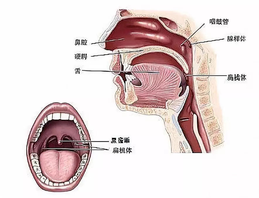 江南