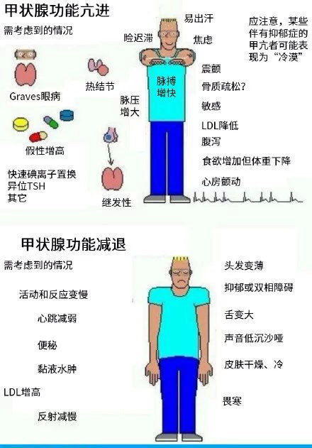 甲亢或甲减患者看过来