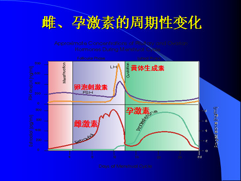 女性卵巢分泌的性激素是如何变化的?