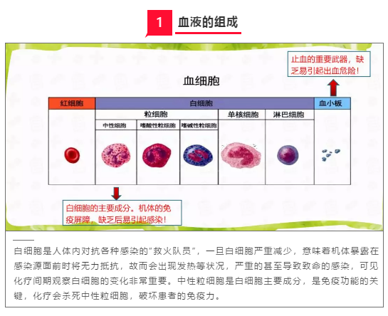 解忧课堂——骨髓抑制的管理2