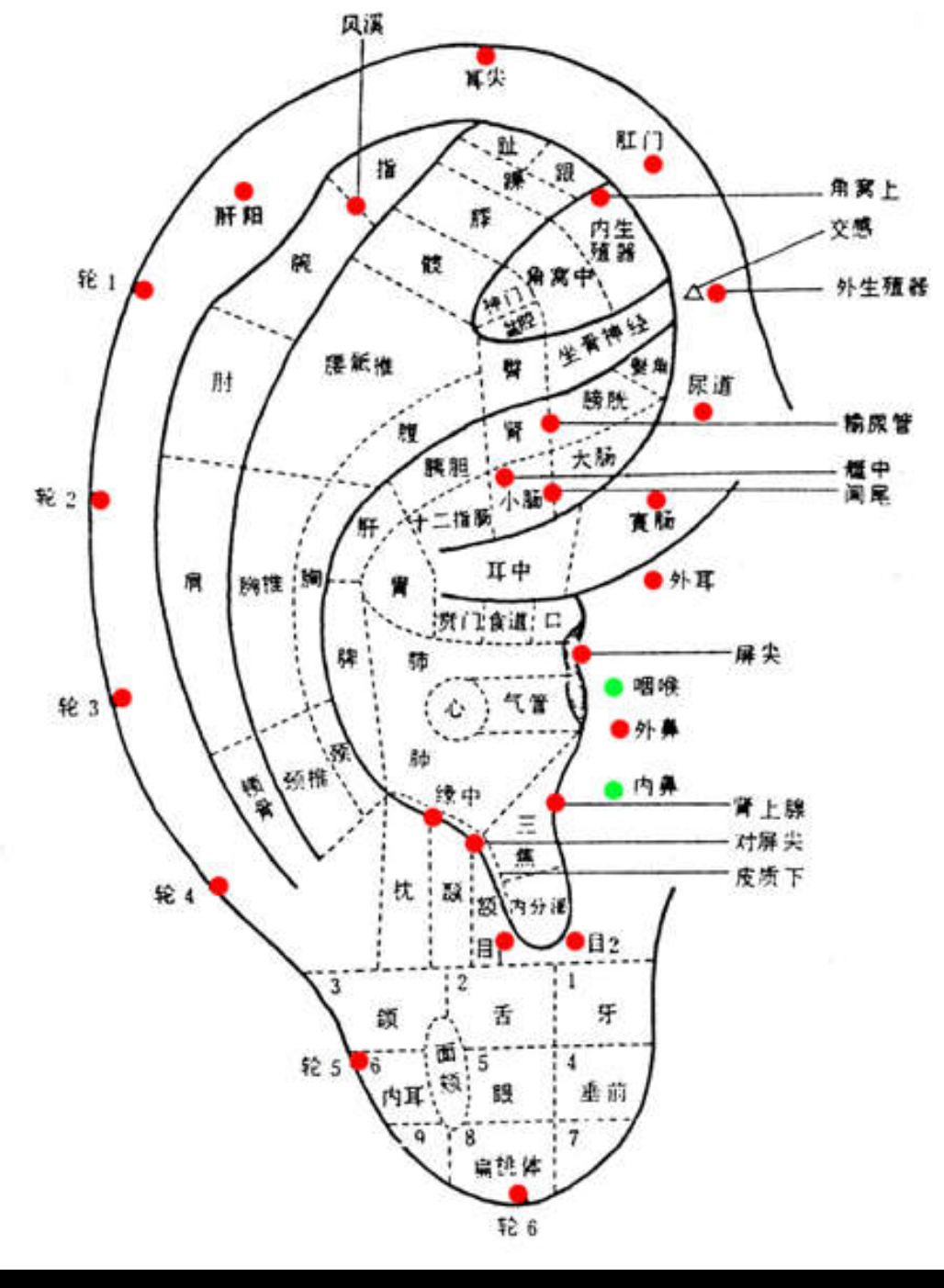 针刺运动疗法·耳穴