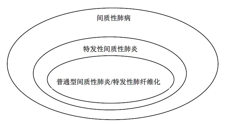 一张图告诉你什么是间质性肺病特发性间质性肺炎普通型间质性肺炎