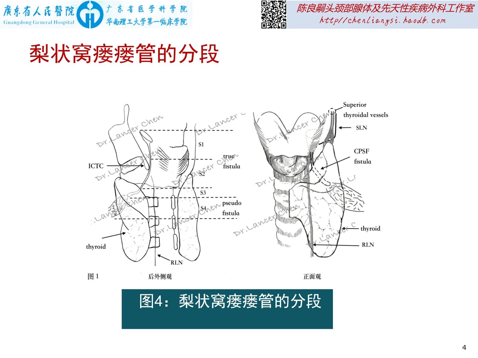 医学科普梨状窝瘘的左邻右里