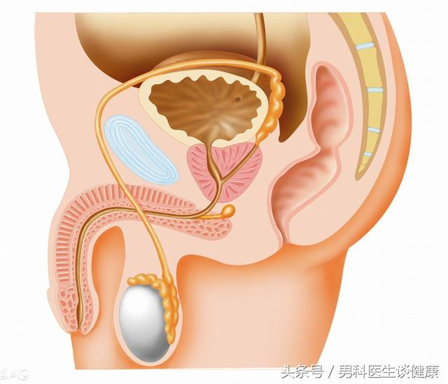 小弟弟经常发炎用这三招有效