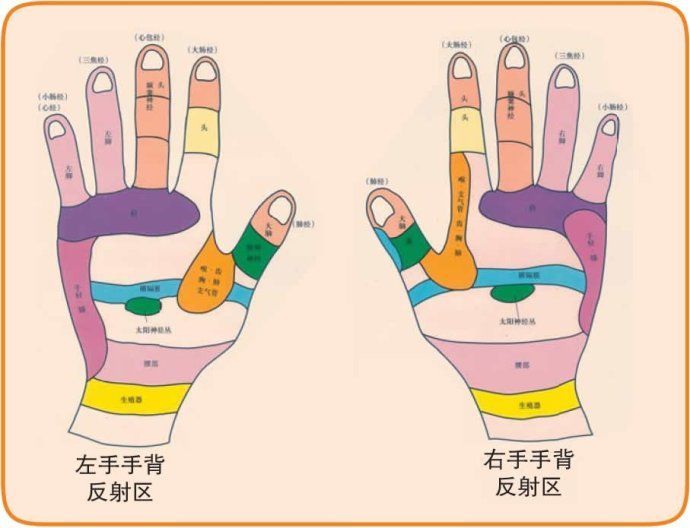 十指健身歌及手掌穴位辨识