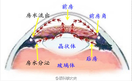 眼压就是眼球的压力,可以视为眼球里的水压,眼压的数值稳定在合理的