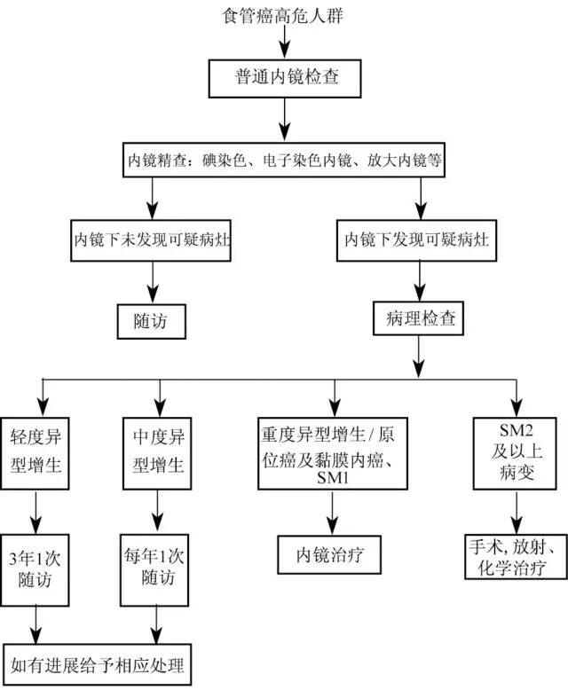 食管癌内镜诊疗流程图