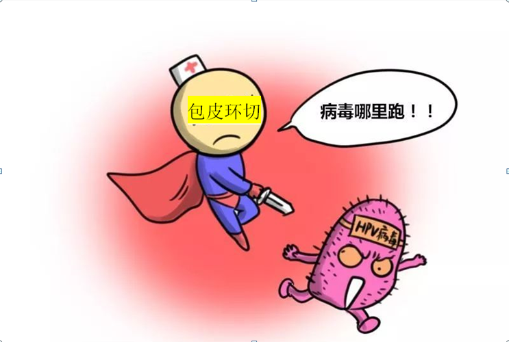 包皮过长和包茎与男性hpv感染