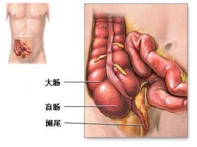 张炳 > 腹痛:急性阑尾炎 腹痛,是小儿非常常见的一种症状,急性阑尾炎