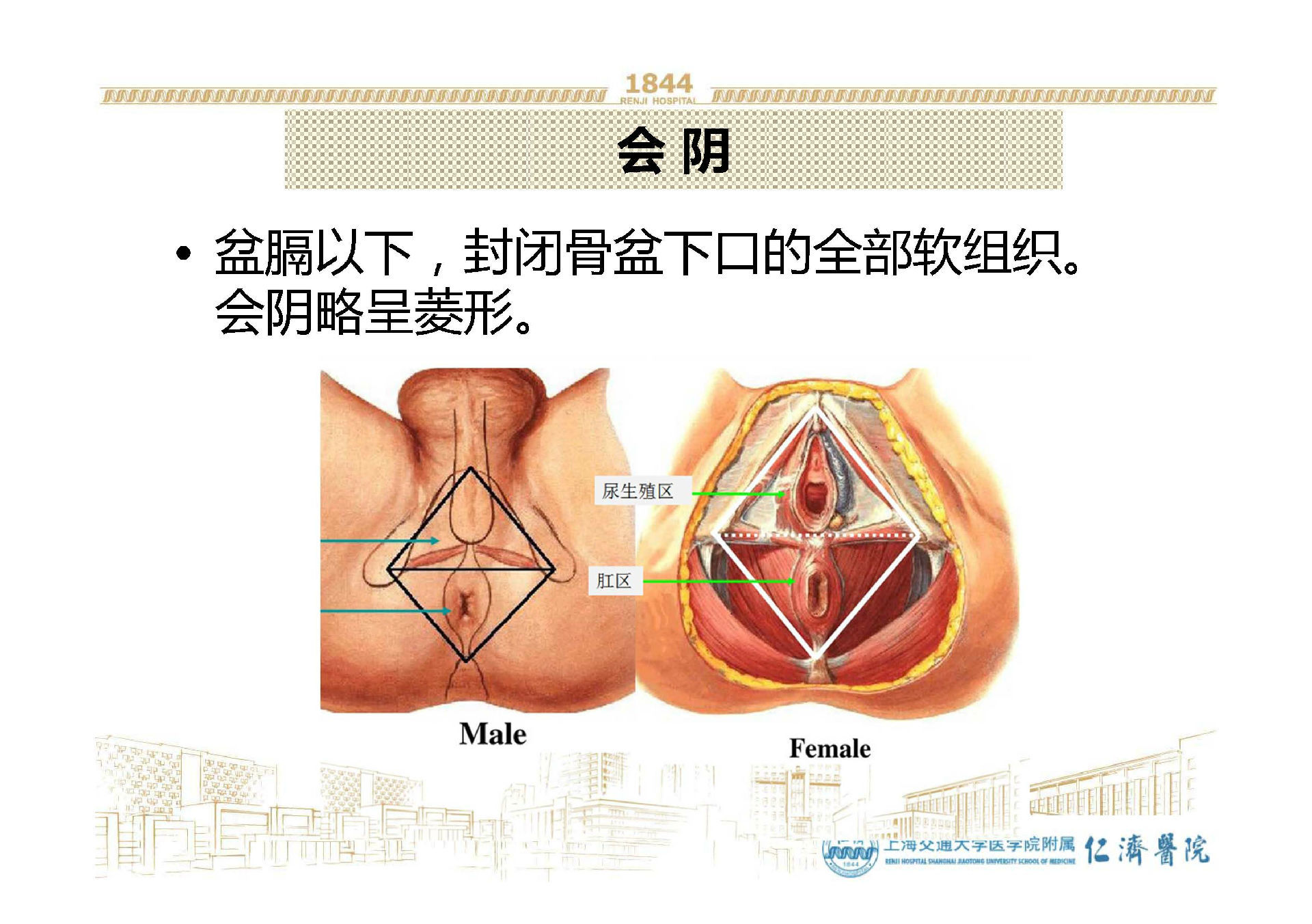 会阴神经痛及超声引导神经阻滞