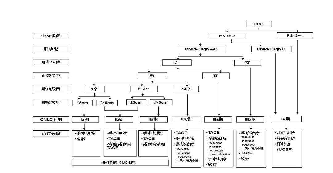 中国肝癌临床分期及治疗路线图