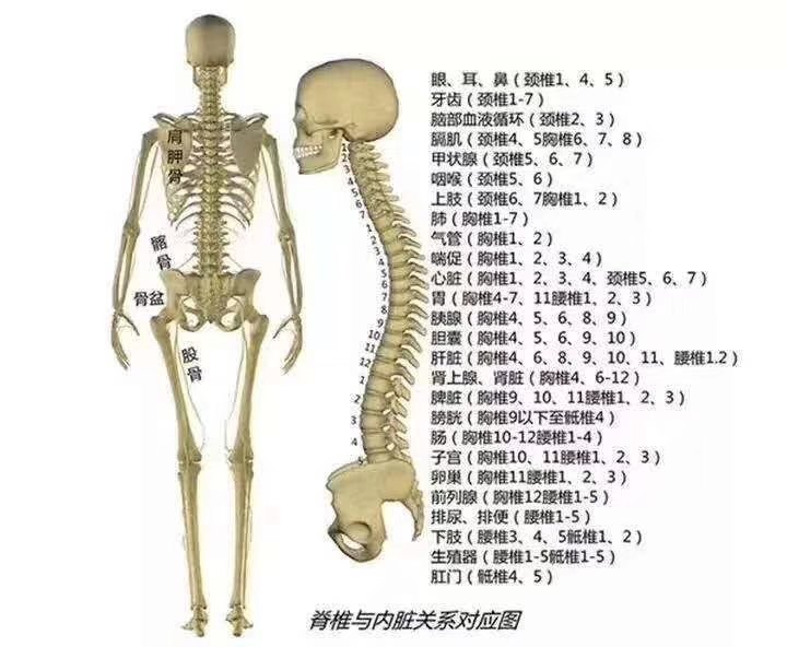 压弯了孩子"脊梁"的"凶手"究竟是谁?