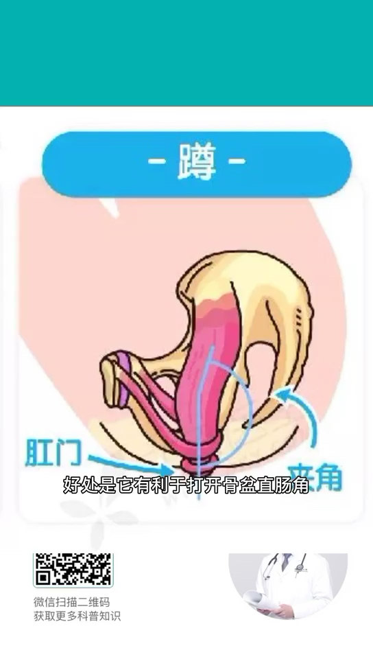 什么样的排便姿势最科学