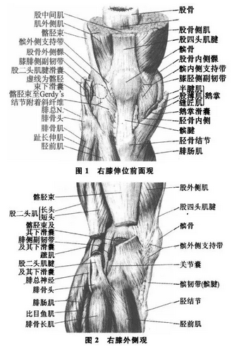 暂无