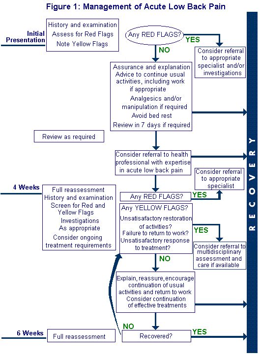 new zealand acute low back pain guide