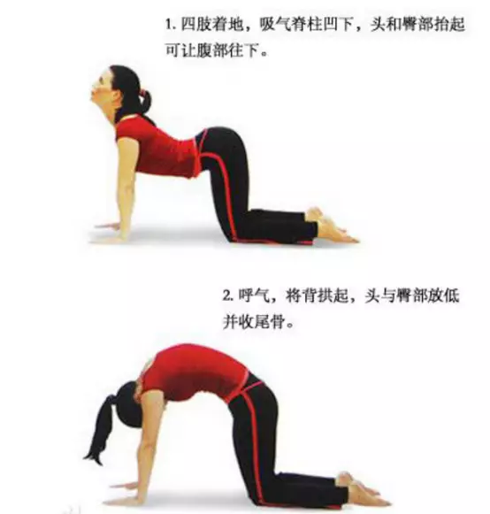 暂无