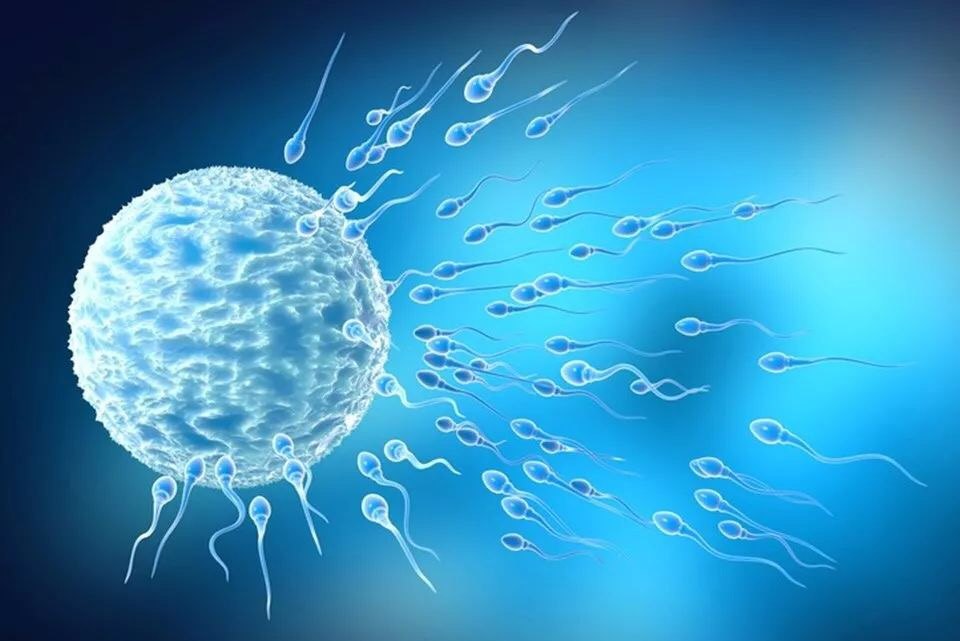 我国男性精子活力下降这些原因要知道
