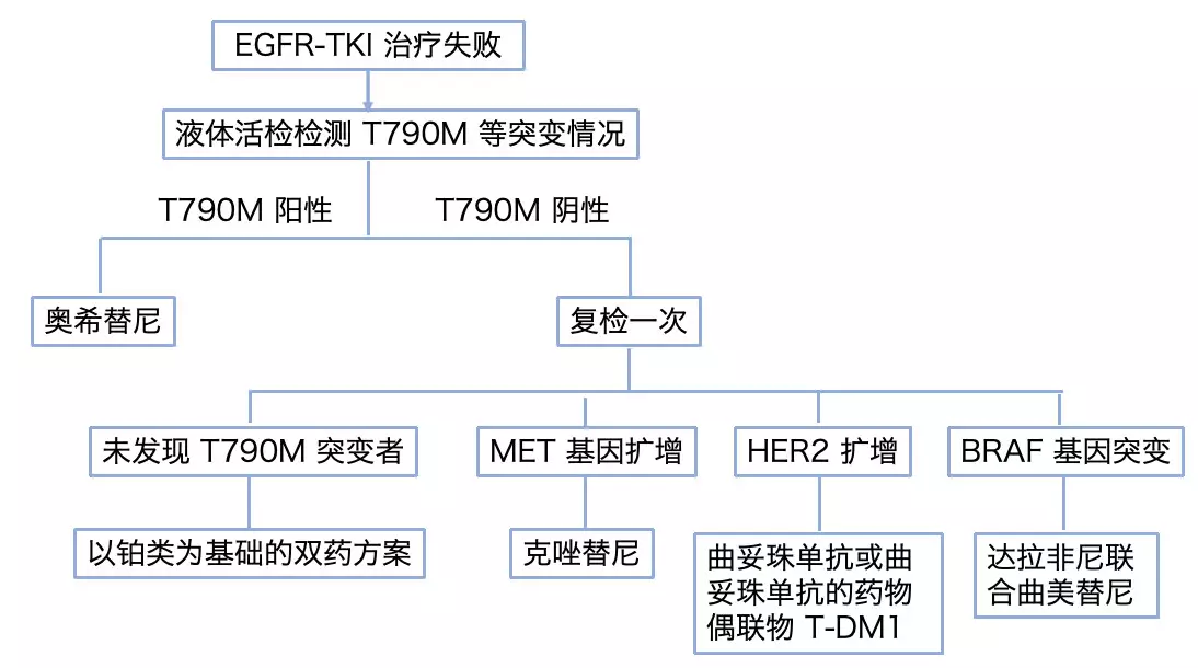 egfr突变的非小细胞肺癌(nsclc)患者的1期临床试验中获得概念验证数据