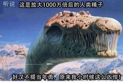 少弱精患者怎样提高怀孕成功率