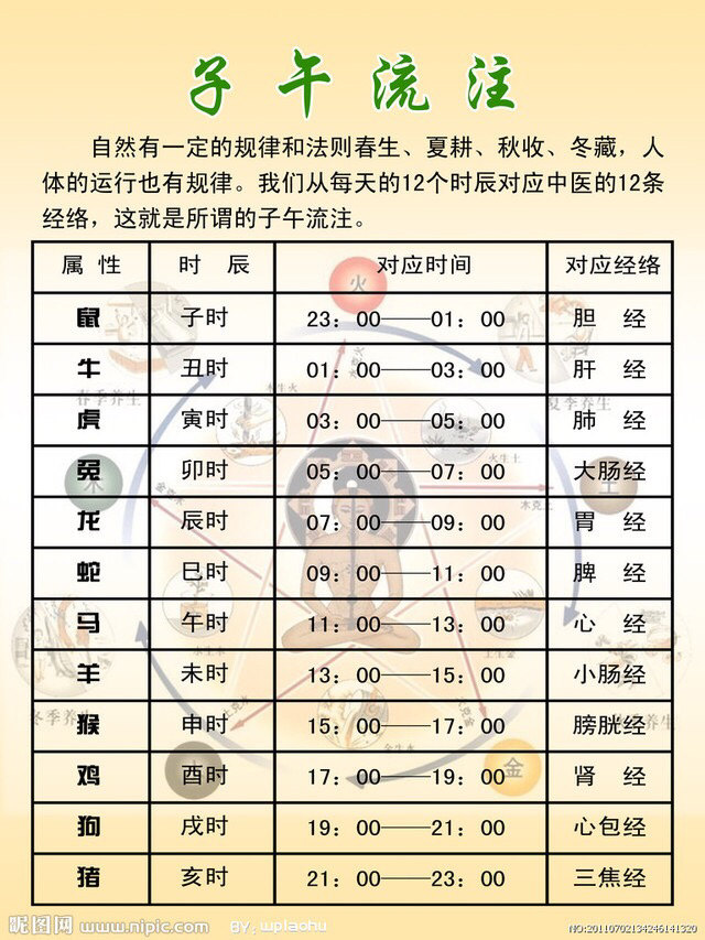 子午流注 中国古代养生秘笈