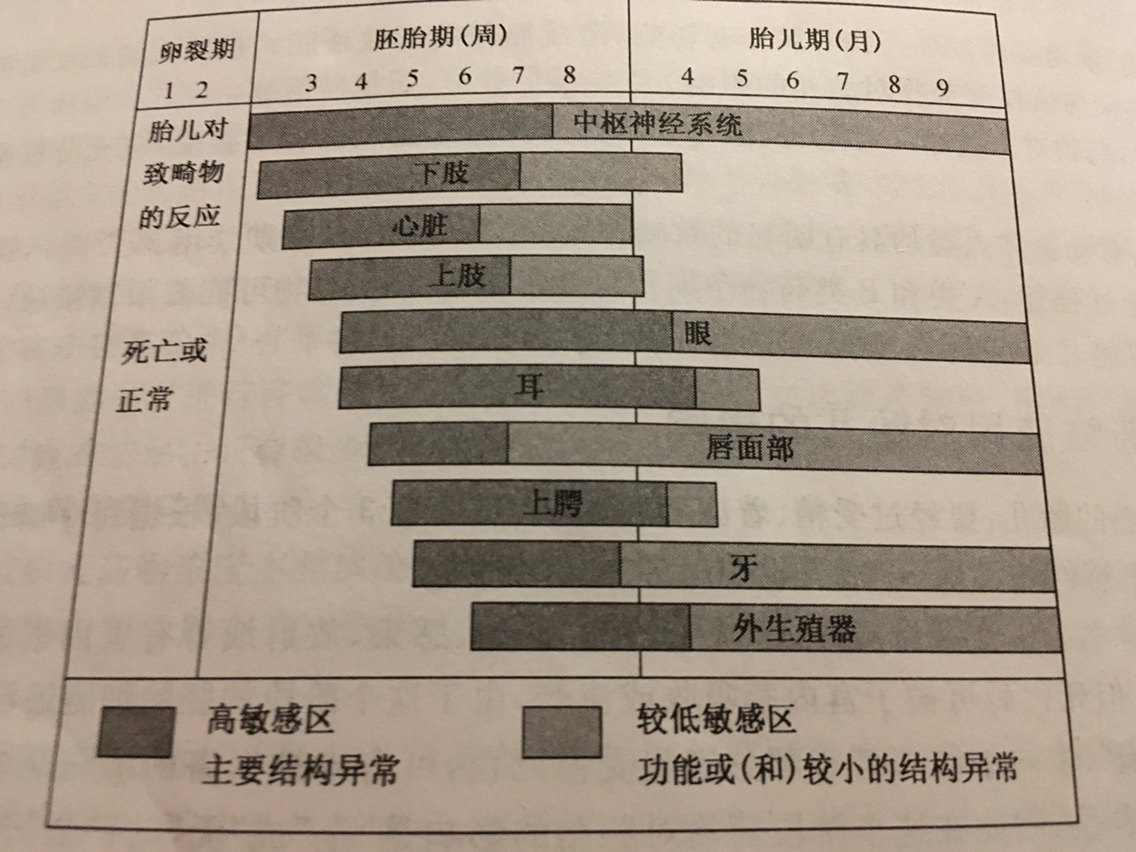 暂无