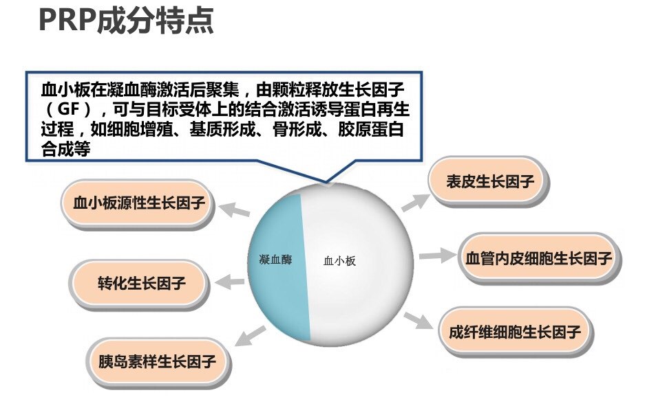 微信图片_201911041014544.jpg