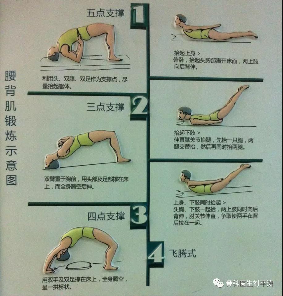 锻炼腰肌的动作,腰肌锻炼动作,锻炼腰大肌五大动作_大山谷图库