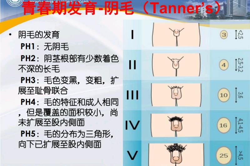 男孩性晚熟 身材矮小 小阴茎 小睾丸怎么回事 好大夫在线