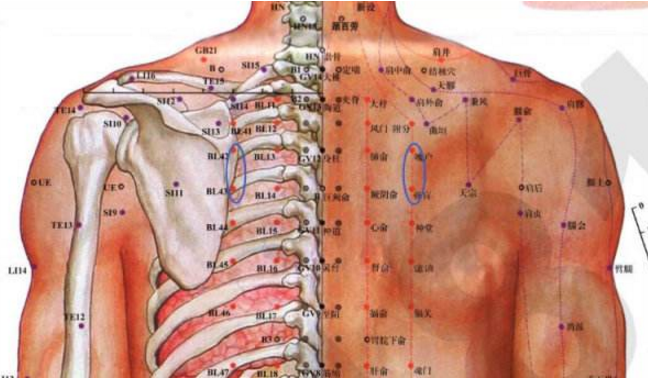 第六胸椎的准确位置图图片