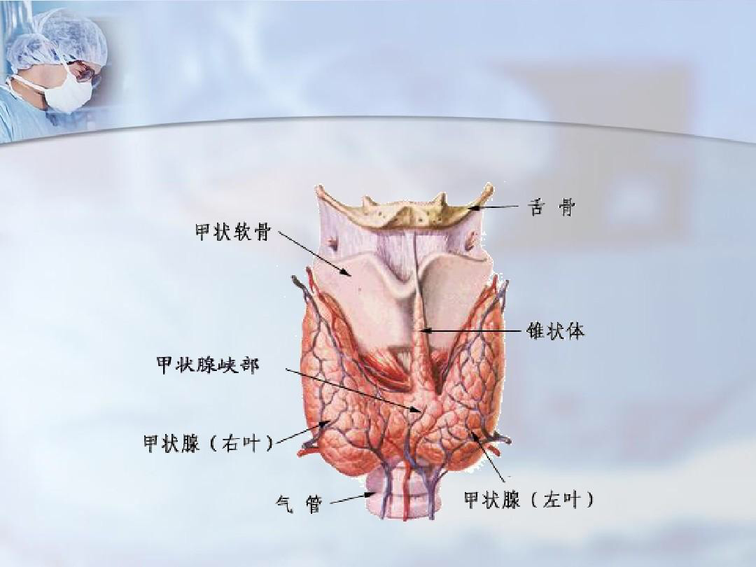亚急性甲状腺炎概括以及饮食起居注意事项 亚急性甲状腺炎 疾病介绍 亚急性甲状腺炎概括以及饮食起居注意事项 亚急性甲状腺炎 疾病介绍