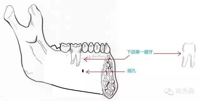 1551089377816115.png image.png