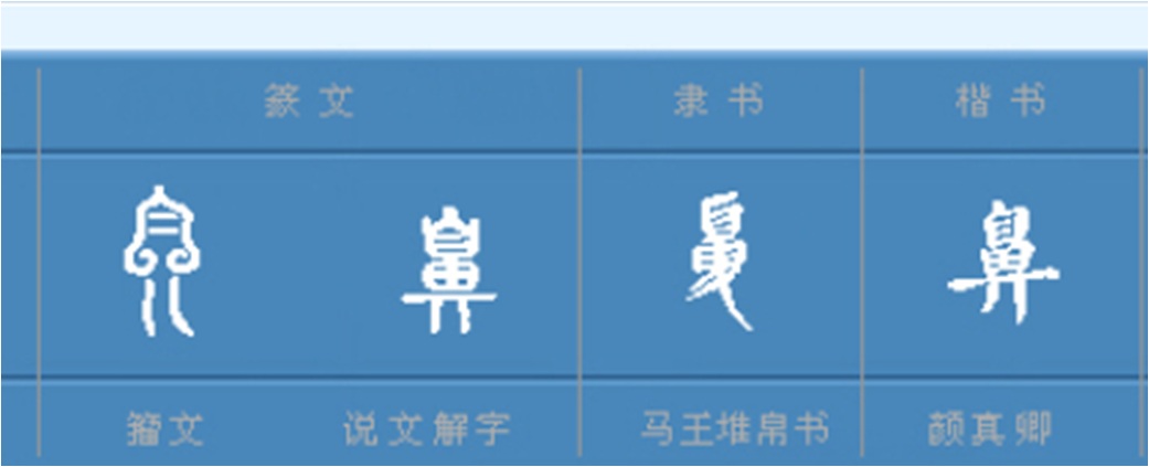 图片3鼻.png